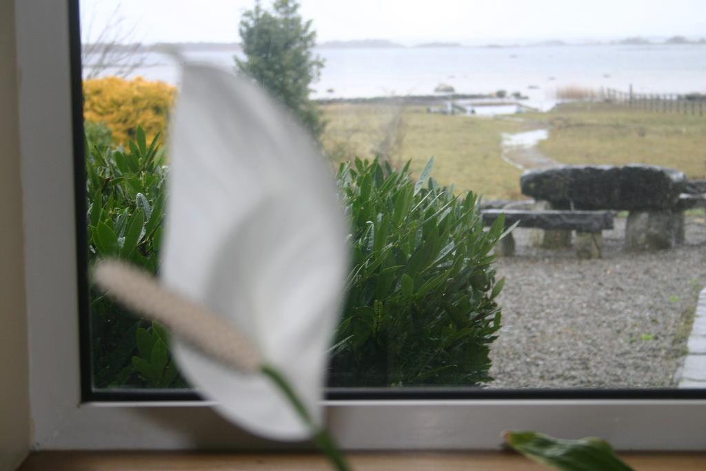 Portarra Lodge Guesthouse Moycullen Экстерьер фото